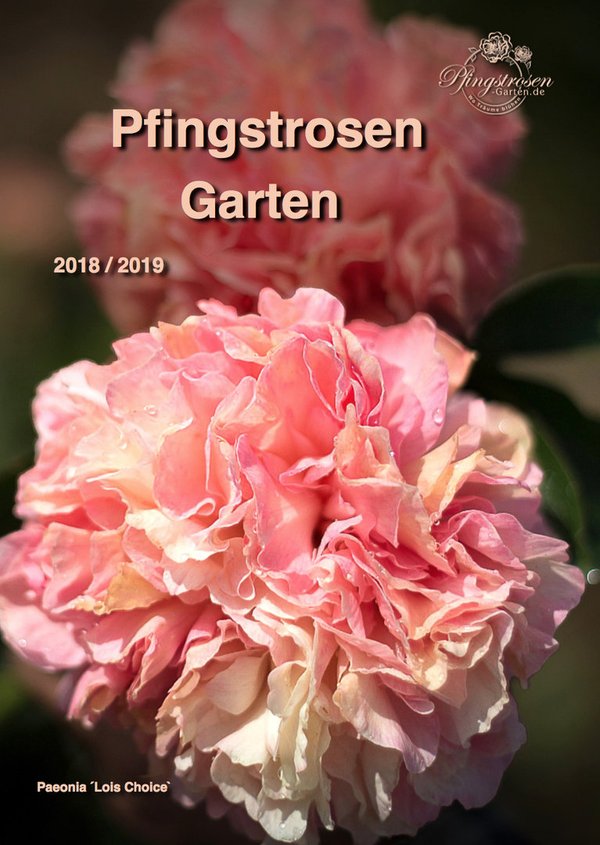 Pfingstrosen Garten 2018 / 2019